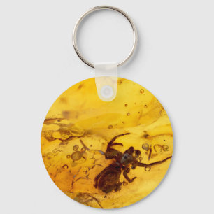 Spider inside baltic amber stone key ring