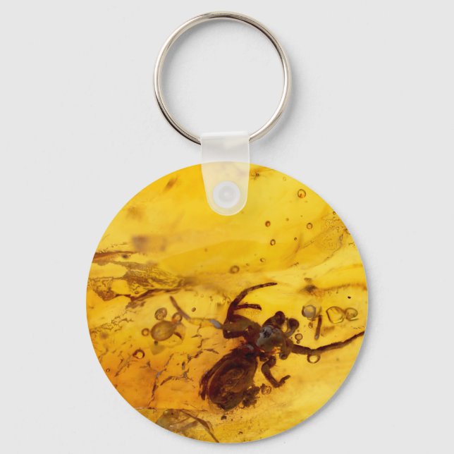 Spider inside baltic amber stone key ring (Front)