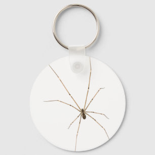 Spider Key Ring