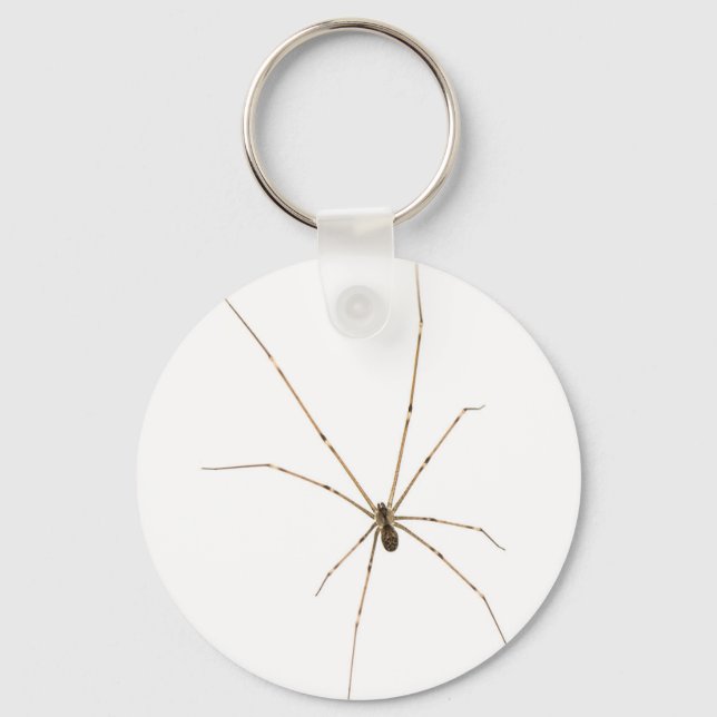Spider Key Ring (Front)