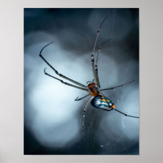 Spider Lovers | Beauty Spider With Webs Poster