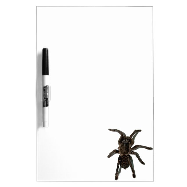 Spider lovers dry erase board (Front)