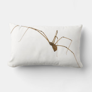 Spider Lumbar Cushion