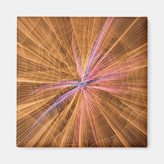 Spider Magnet (Front)