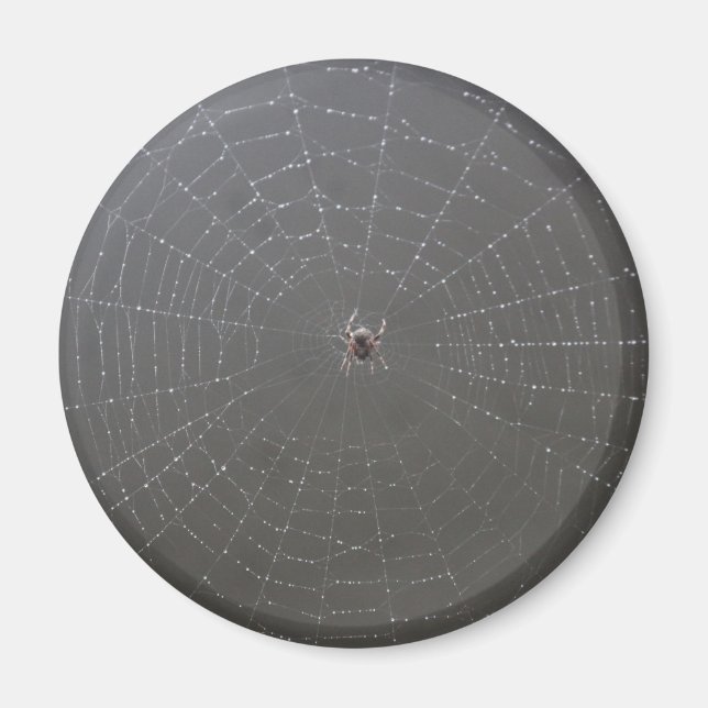 Spider Magnet (Front)