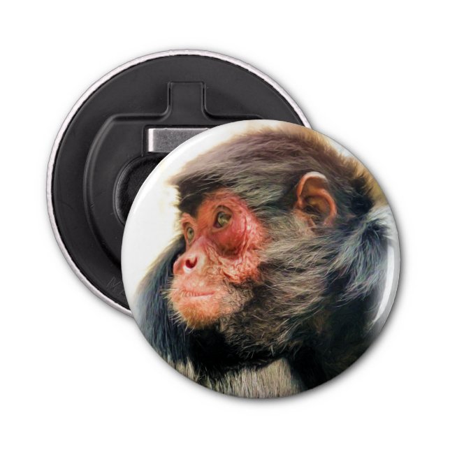SPIDER MONKEY BOTTLE OPENER (Front)