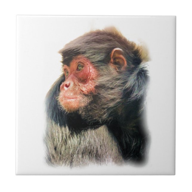 SPIDER MONKEY CERAMIC TILE (Front)