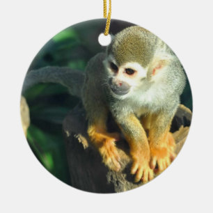 Spider Monkey Ceramic Tree Decoration