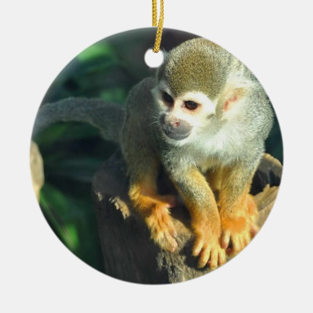 Spider Monkey Ceramic Tree Decoration (Front)