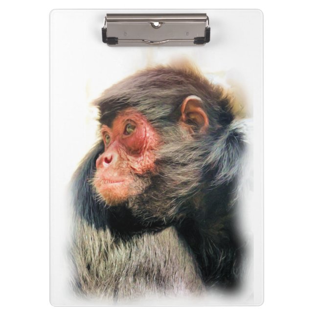 SPIDER MONKEY CLIPBOARD (Front)