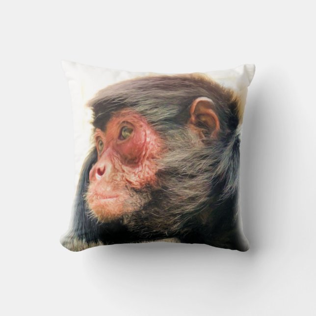 SPIDER MONKEY CUSHION (Front)
