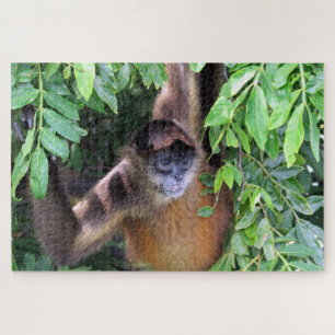 spider monkey jigsaw puzzle