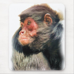 SPIDER MONKEY MOUSE PAD