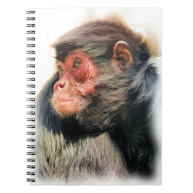 SPIDER MONKEY NOTEBOOK (Front)
