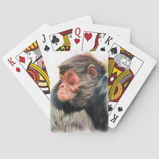 SPIDER MONKEY PLAYING CARDS (Back)