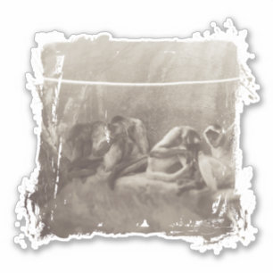 Spider Monkeys