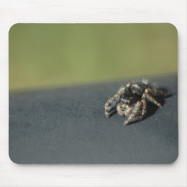 Spider Mouse Pad (Front)