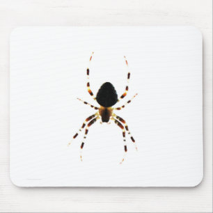 Spider mpcn mouse pad