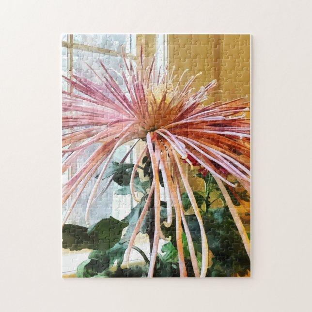 Spider Mum Pink Splendour Jigsaw Puzzle (Vertical)