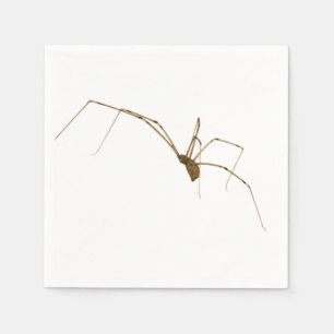 Spider Napkin