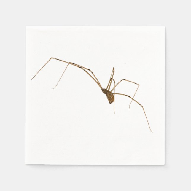 Spider Napkin (Front)
