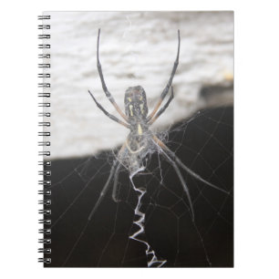 Spider Notebook