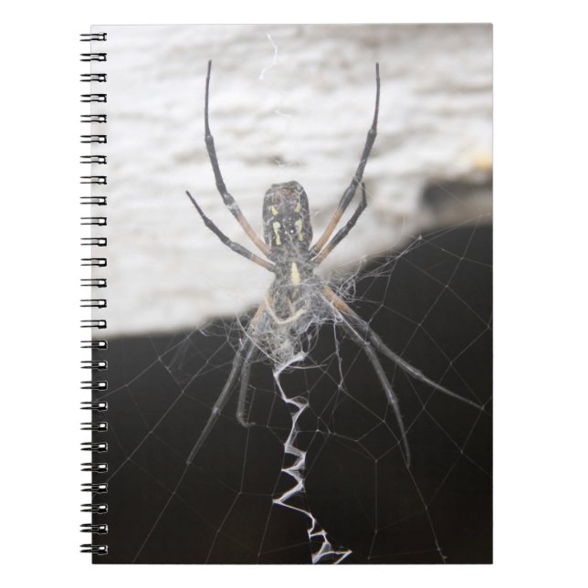 Spider Notebook (Front)