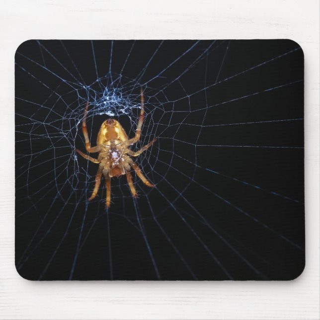 Spider on spiderweb mouse pad (Front)
