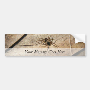 Spider on Weathered Leaf Bumper Sticker