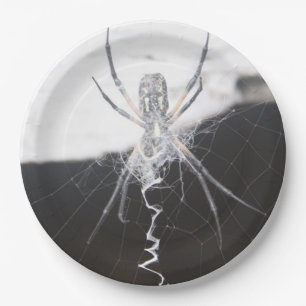 Spider Paper Plate