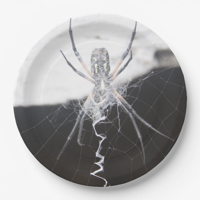 Spider Paper Plate (Front)