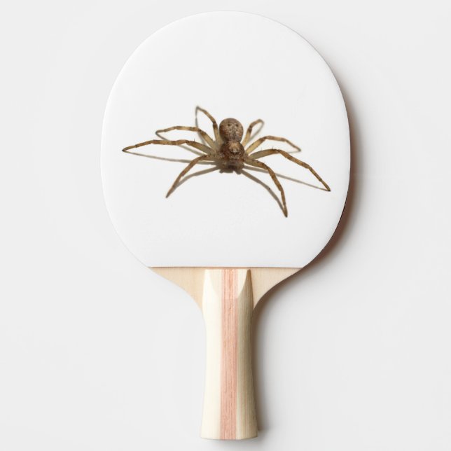 Spider Ping Pong Paddle (Front)