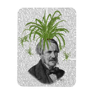 Spider Plant Head Magnet