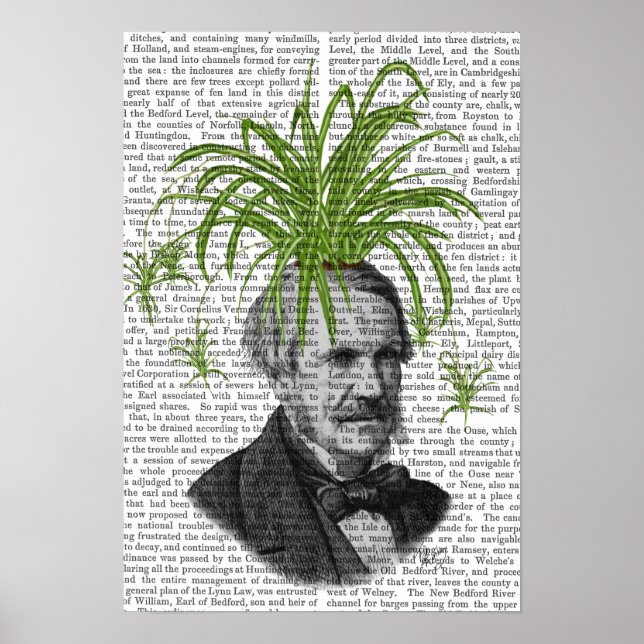 Spider Plant Head Poster (Front)