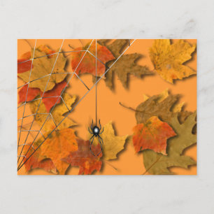 Spider Postcard