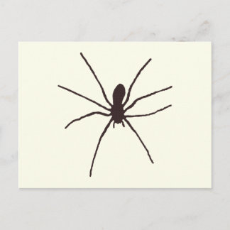Spider Postcard