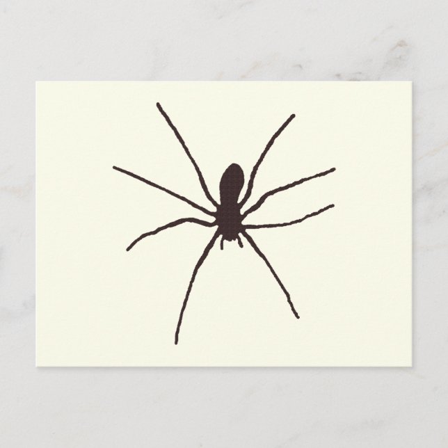 Spider Postcard (Front)