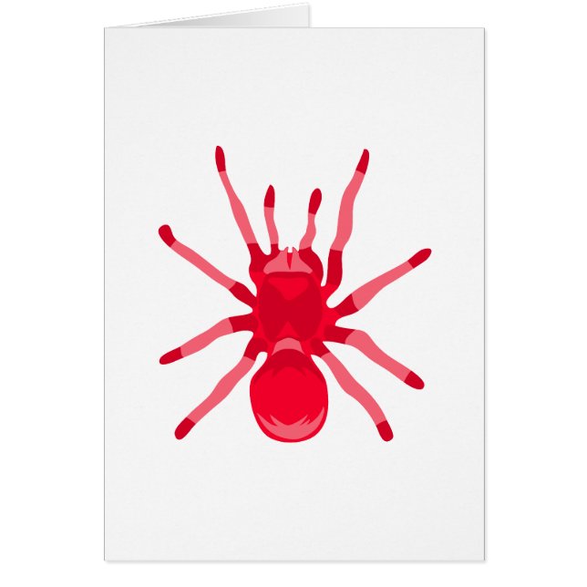 Spider (Red) (Front)