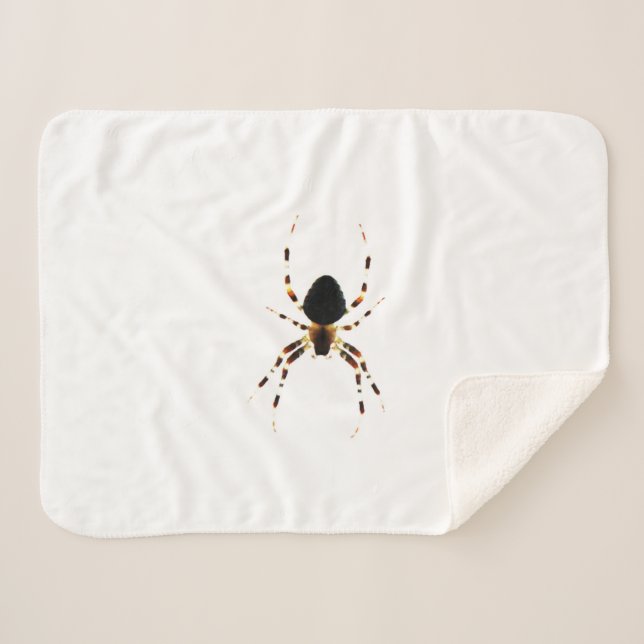 Spider sbcna sherpa blanket (Front (Horizontal))