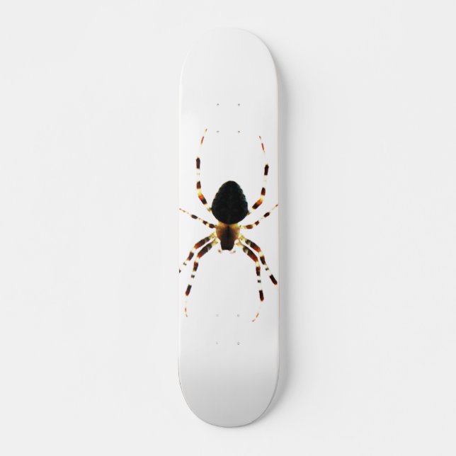 Spider sdcna skateboard (Front)
