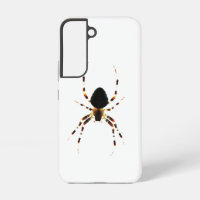 Spider sgcnm