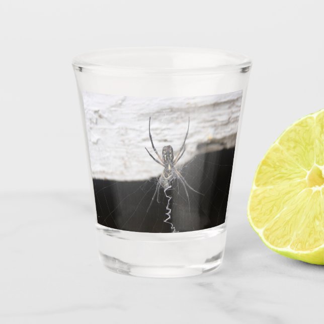 Spider Shot Glass (Front)