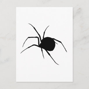Spider Silhouette Postcard
