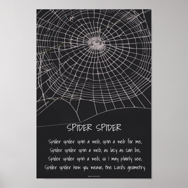 Spider Spider Poster (Front)