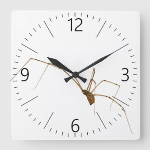 Spider Square Wall Clock