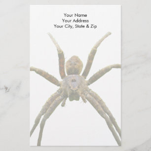 Spider Stationery