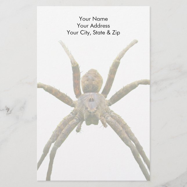 Spider Stationery (Front)