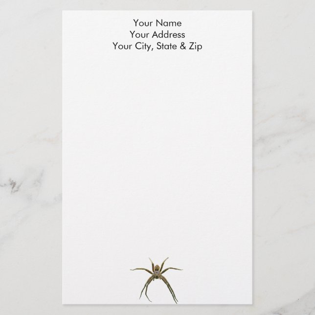 Spider Stationery (Front)