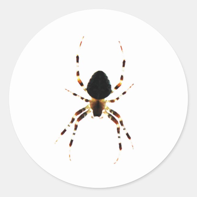 Spider stcna classic round sticker (Front)