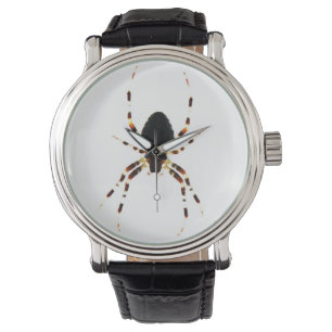 Spider wacna watch